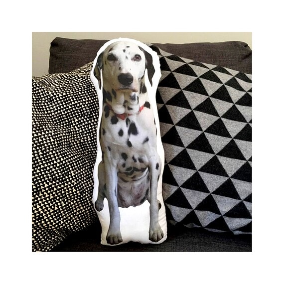 Custom Pet Photo Pillow