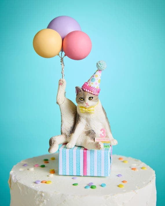 Birthday Gifts for the Cat Lover Who Deserves Something Special