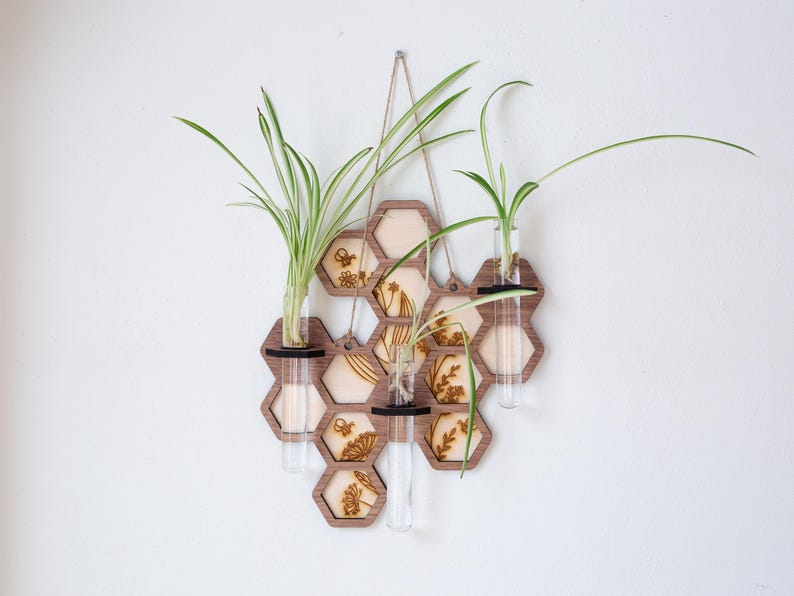 Wall Hanging Plant Propagation Station