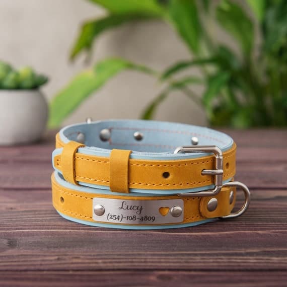Birthday Gifts for the Dog Lover Who Deserves Something Truly Special